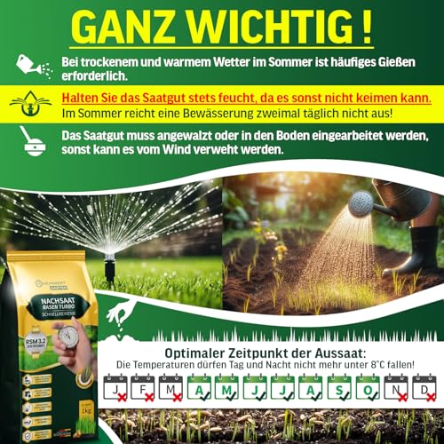 Heimwert Rasensamen schnellkeimend Turbo Nachsaat Grassamen schnellkeimend nach original RSM 3.2 Empfehlung aus hochwertigster Gräser Mischung - 1kg Sport und Spiel Rasen für 50 m2 - Made in Germany