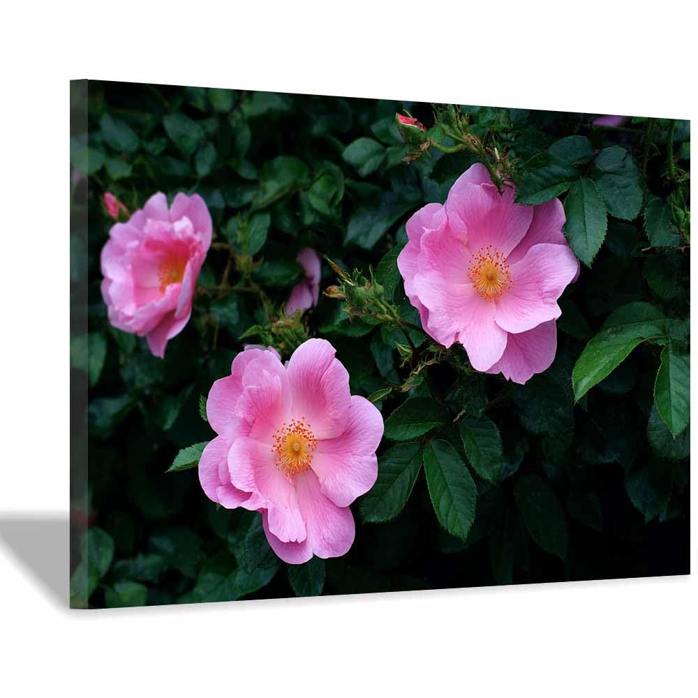 ZAMAEIU Nature Wall Art Clusters of Rosess decorative home accessories, paintings wall art,For living room, bedroom, Apartment Corridor Office etc.(pink)-60x90cm Framed