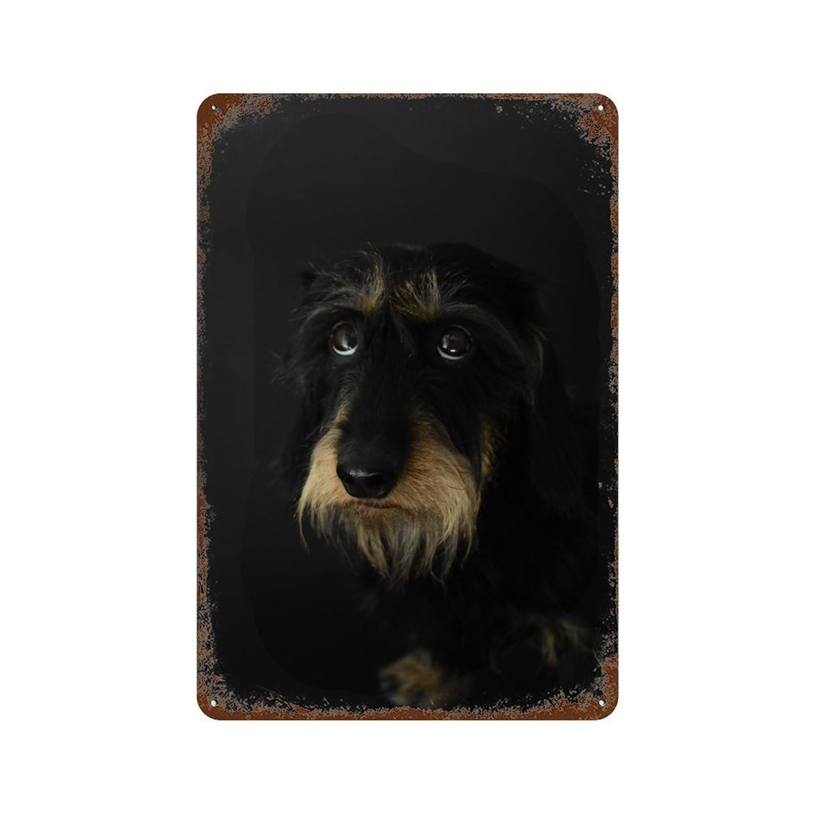 Dachshund Portrait Decorative Tin Sign 11.8"x7.9", Farmhouse Wall Decor for Garage, Bar And Workshop Decor