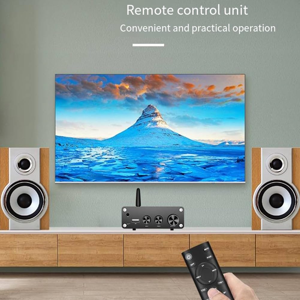 Malloy TPA3116 Bluetooth 5.3 Cyfrowy wzmacniacz HiFi Stereo Wzmacniacz audio Dekoder USB 50 W + 50 W Łatwy w użyciu A