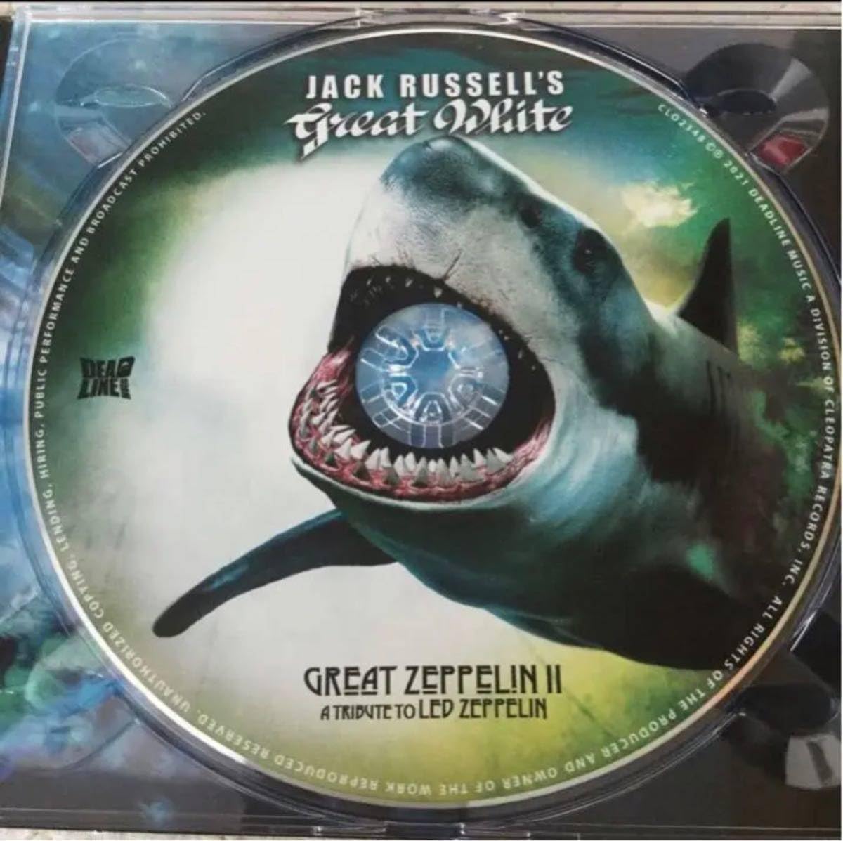 Amazon.co.jp: JACK RUSSELL