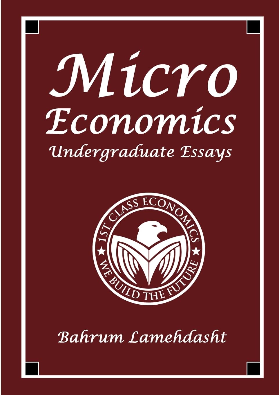 Microeconomics: Undergraduate Essays and Revision Notes