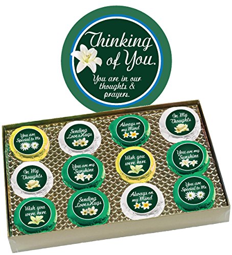 THINKING OF YOU "Cookie Talk" Chocolate Covered Cream Filled Sandwich Cookies Assortment - 12 Message Cookies In Gift Box