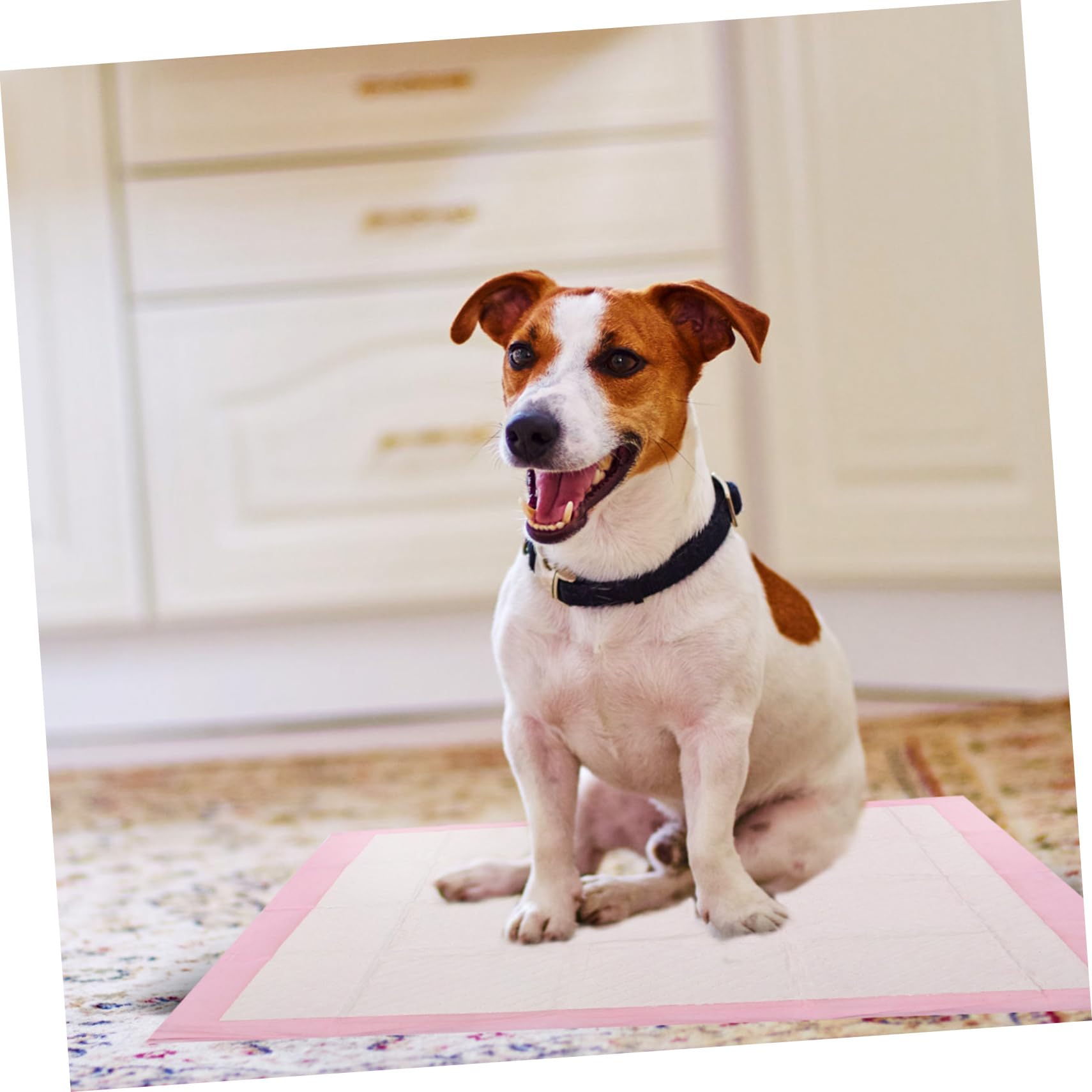 Alèses D'entraînement Épaisses pour Chien, 40 Pièces, 60x60 Cm | Non-tissé Rose, Très Absorbantes, Usage Extérieur et Cage pour Animaux, Format 1 Paquet