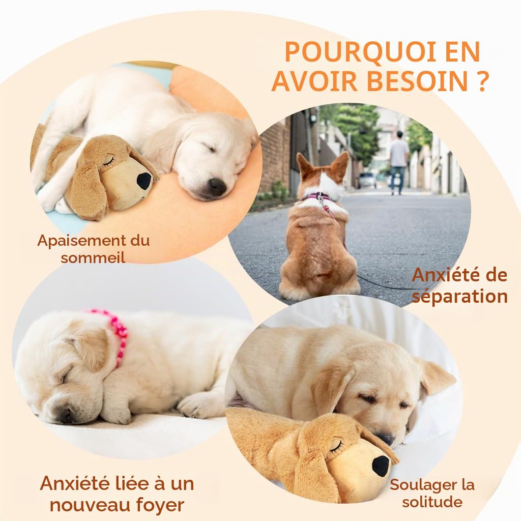 Vocheer Jouet en Peluche pour Chiot - Soulage l'Anxiété, Aide au Rythme Cardiaque et au Sommeil - Dressage Comportemental