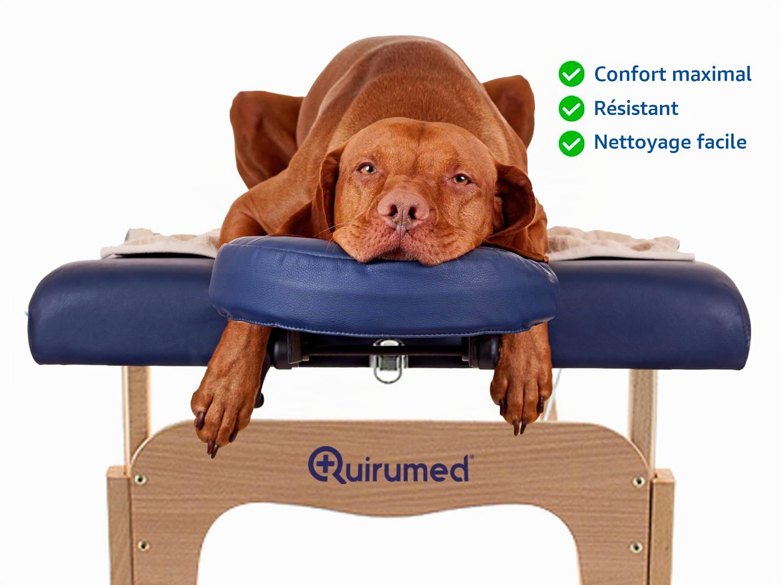 QUIRUMED Table de Massage Pliable en Bois Easy, Couleur Violet, 182 x 60 cm, Similicuir Portable, légère tête Amovible, Trou du Visage, Hauteur réglable jusqu'à 120 kg