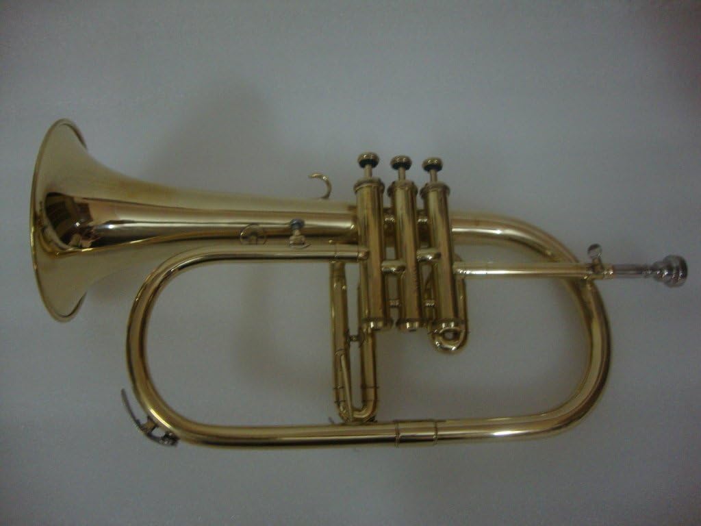 OSWAL Bb Flat Brass Finishing Flugel Horn With Free Hard Case+Mouthpiece : Musical Instruments