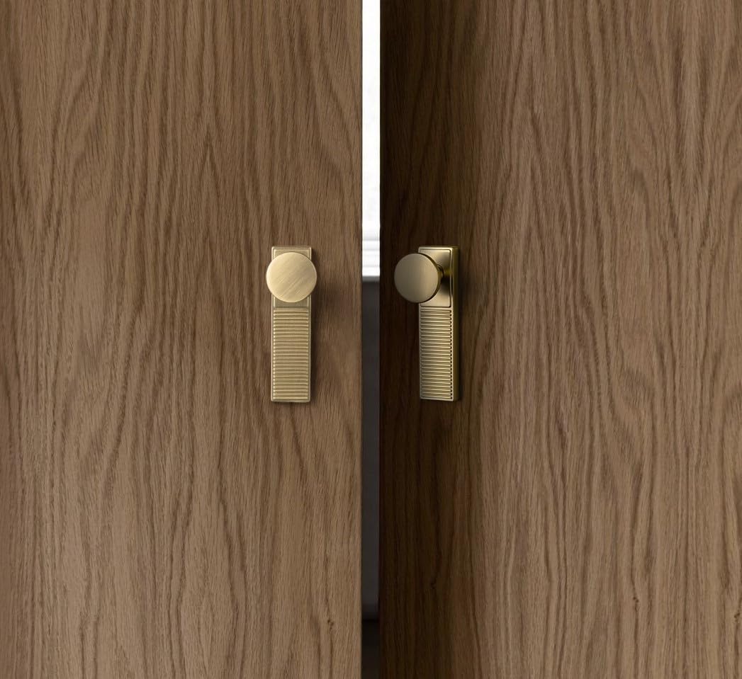 Goo-Ki 1.1 Inch Diameter Champagne Bronze Cabinet Knob with Trip Backplate,High-end Zinc Alloy Cabinet Hardware,6 Packed