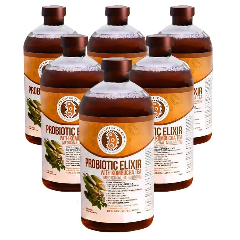 This Chick is Raw - Elixir de hongos probióticos  Té de kombucha con Reishi, Chaga, melena de león y Cordyceps  Salud intestinal, apoyo inmunológico