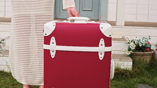 Amazon.com | NZBZ Vintage Luggage Sets for Women, PU Leather Retro