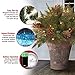 National Tree Company 18 in Pre-Lit Colonial Fir Artificial Christmas Urn Filler, Christmas Decoration with Pinecones, Red Berries, 35 Clear LED Lights, 167 Tips, Timer, Tripod Stake, Green