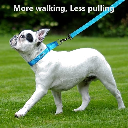 Miniatura 3 de Collar de Martingala personalizado para perros con hebilla de liberación rápida, collar de nailon reflectante con nombre y número de teléfono para