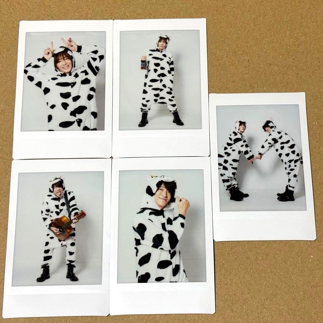 多々羅義雄 油彩画 F8号『岩と海 千葉内房小浜』