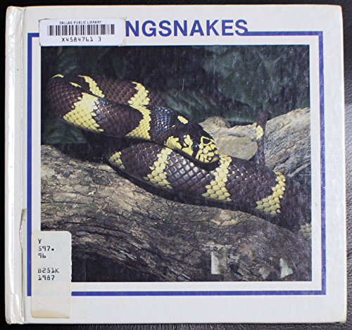  Kingsnakes