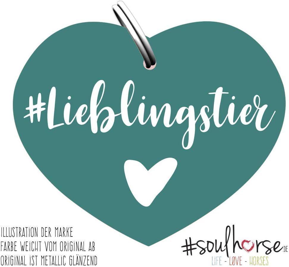 sella di cavallo per cane