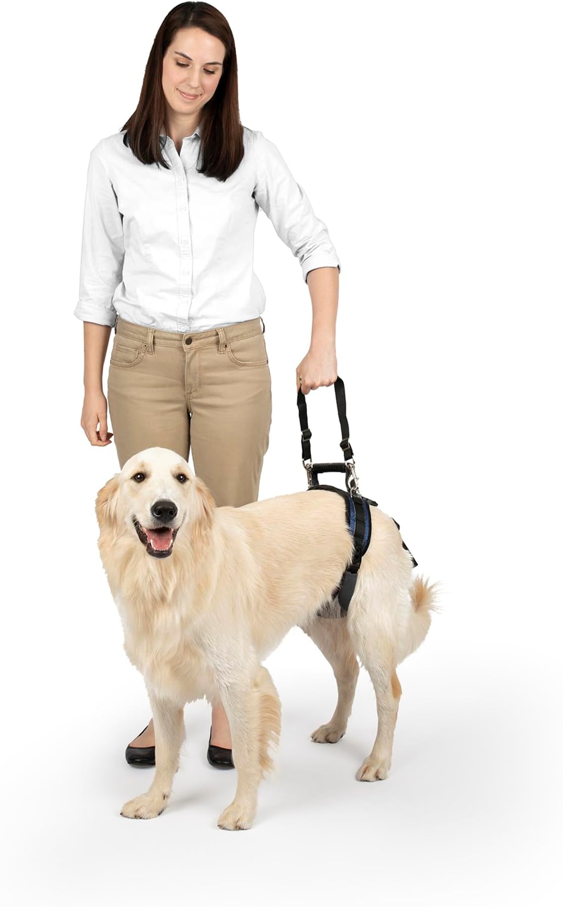 PetSafe CareLift Hüft-Hebegeschirr für Hunde