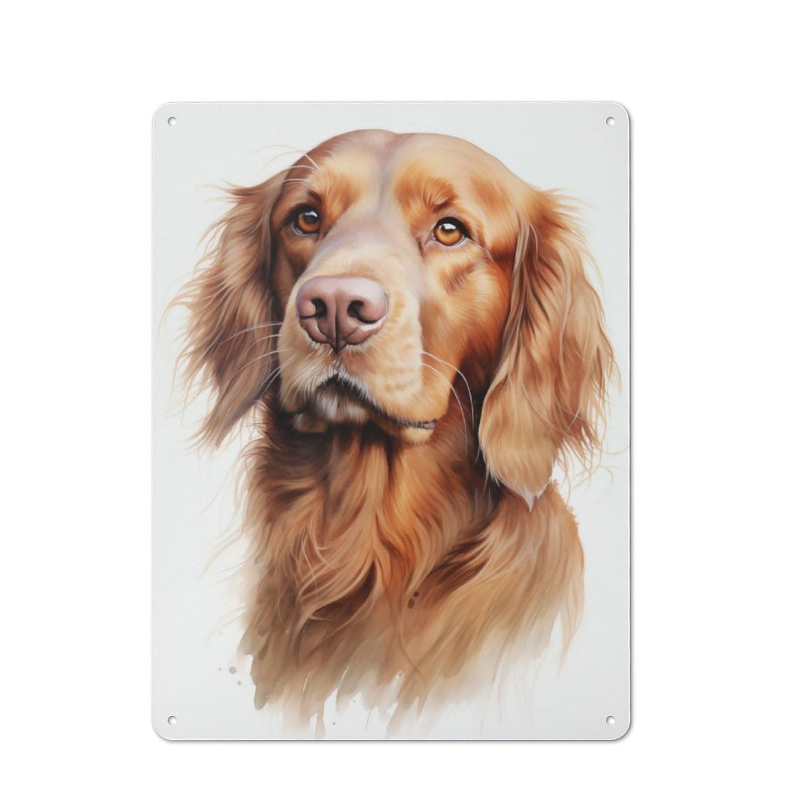 Junmoney Irish Setter Portrait Dog For Garden Room Or Summerhouse, Rustic Tin Sign 40X30cm, Tin Sign Wall Decor For Garden Rooms And Summerhouses