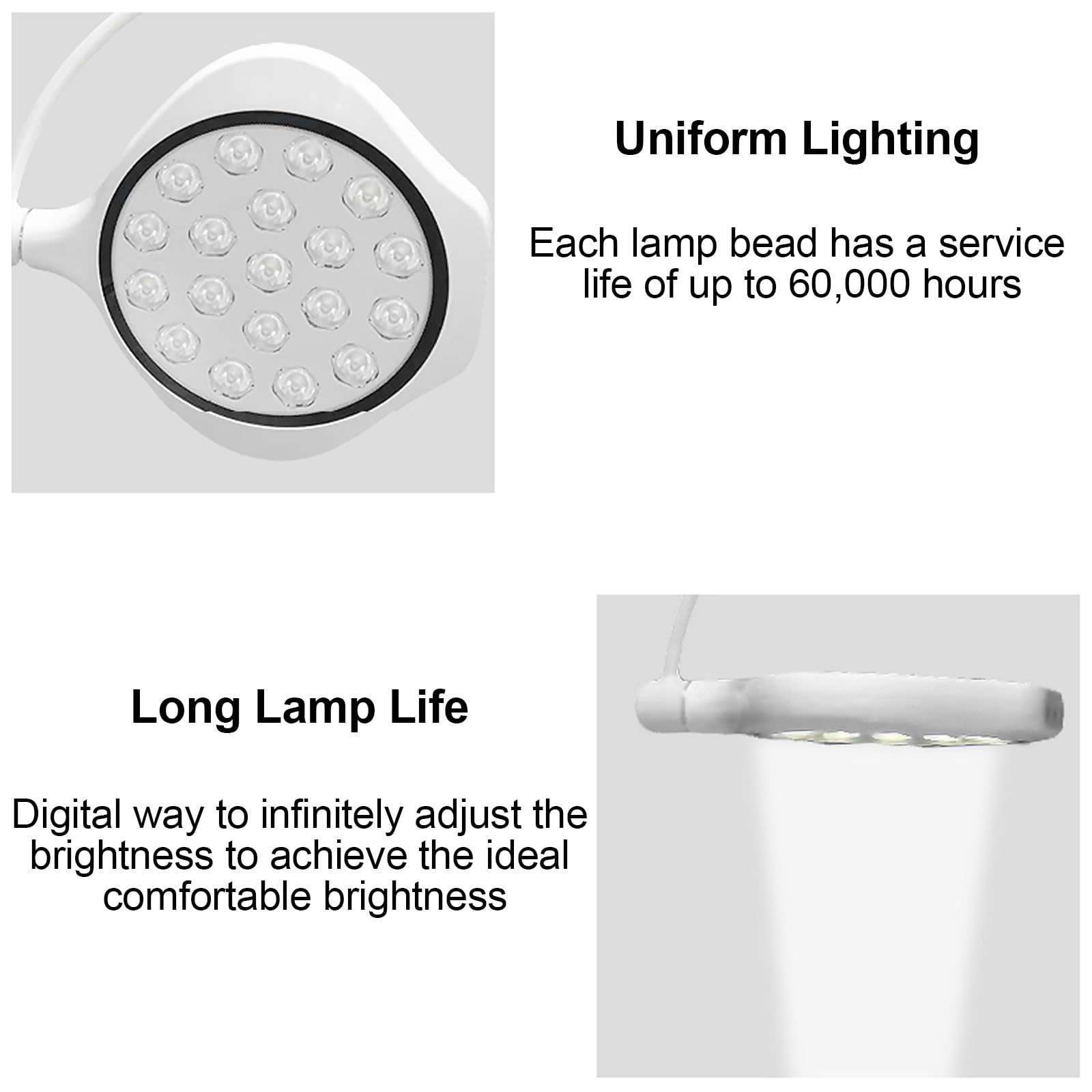 Lampada da Parete a LED per Visita Medica Chirurgica, LED Dentali Lampada, Chirurgica Lampada, 110~220 V, Luminosità Regolabile, per Chirurgia Dentale Otorinolaringoiatrica Veterinaria PET Tatuaggio