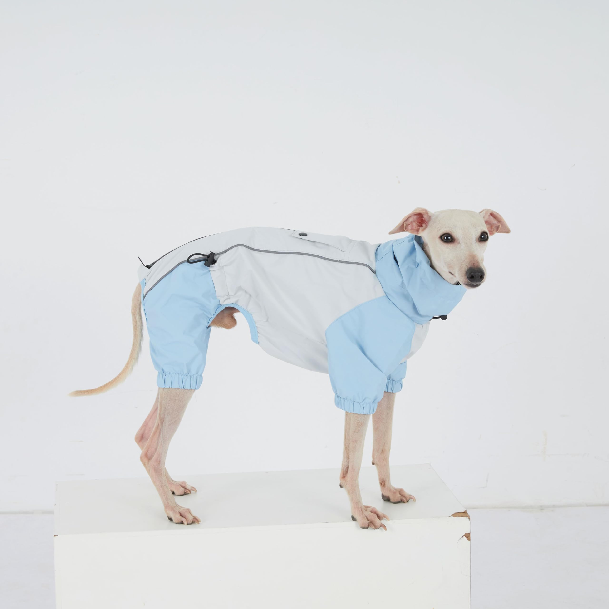 Dackel Regenmantel, wasserdichte 4-Bein Hundejacke, Leichter Outdoor Windbreaker für Mini Dackel(S(4-6kg)
