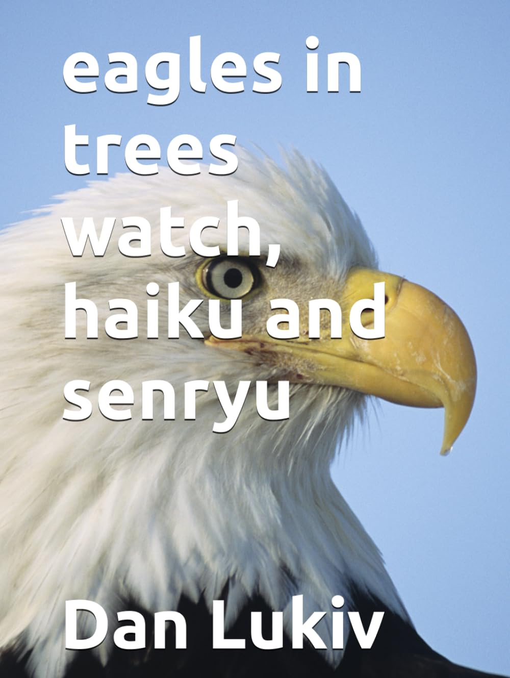 eagles in trees watch, haiku and senryu