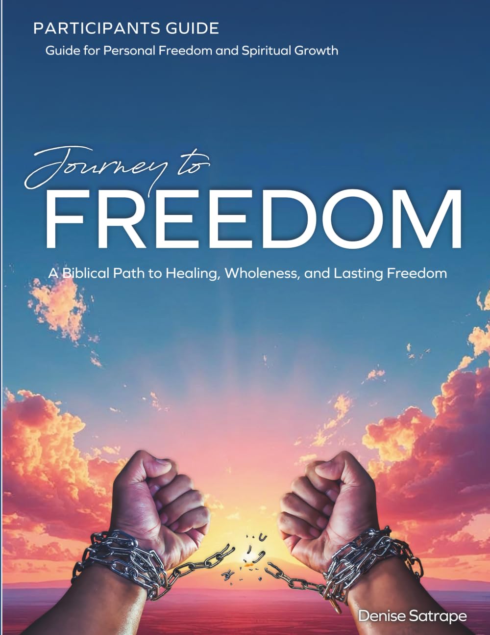 Journey to Freedom: Participant Guide: A Biblical Path to Healing, Wholeness, and Lasting Freedom