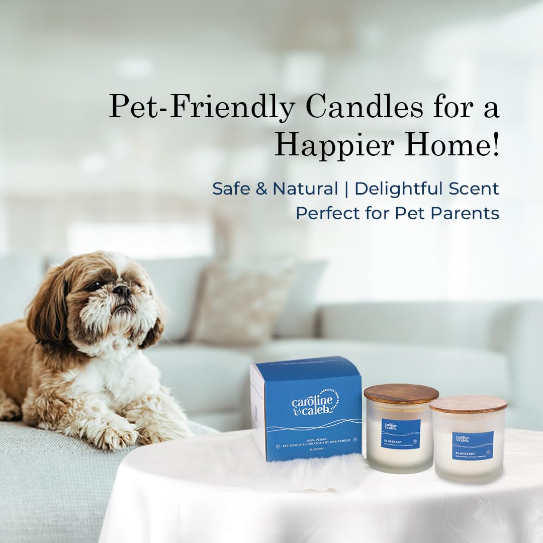 Pet Odour Eliminator | Blueberry Scented Candle by Caroline and Caleb | Non Toxic | Long Lasting 30 Days | 100% Vegan Soy Wax | Pet Odour Remover for Dogs and Cats | Gifting 3