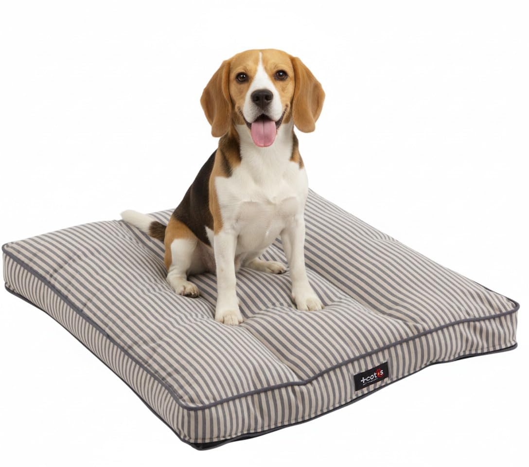 Large Dog Bed – Elegant Cloud Touch Jacquard Mat – Soft Warm and Sophisticated – Removable and Non-Slip – Made in Spain – Size L – Bisou Grey Stripe – 80 x 80 x 6 + Cotes