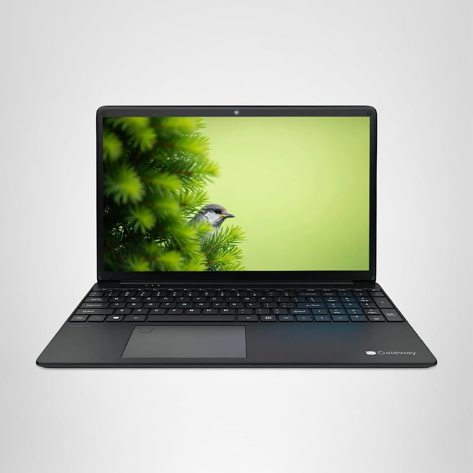 Amazon.com: Acer Gateway 15.6
