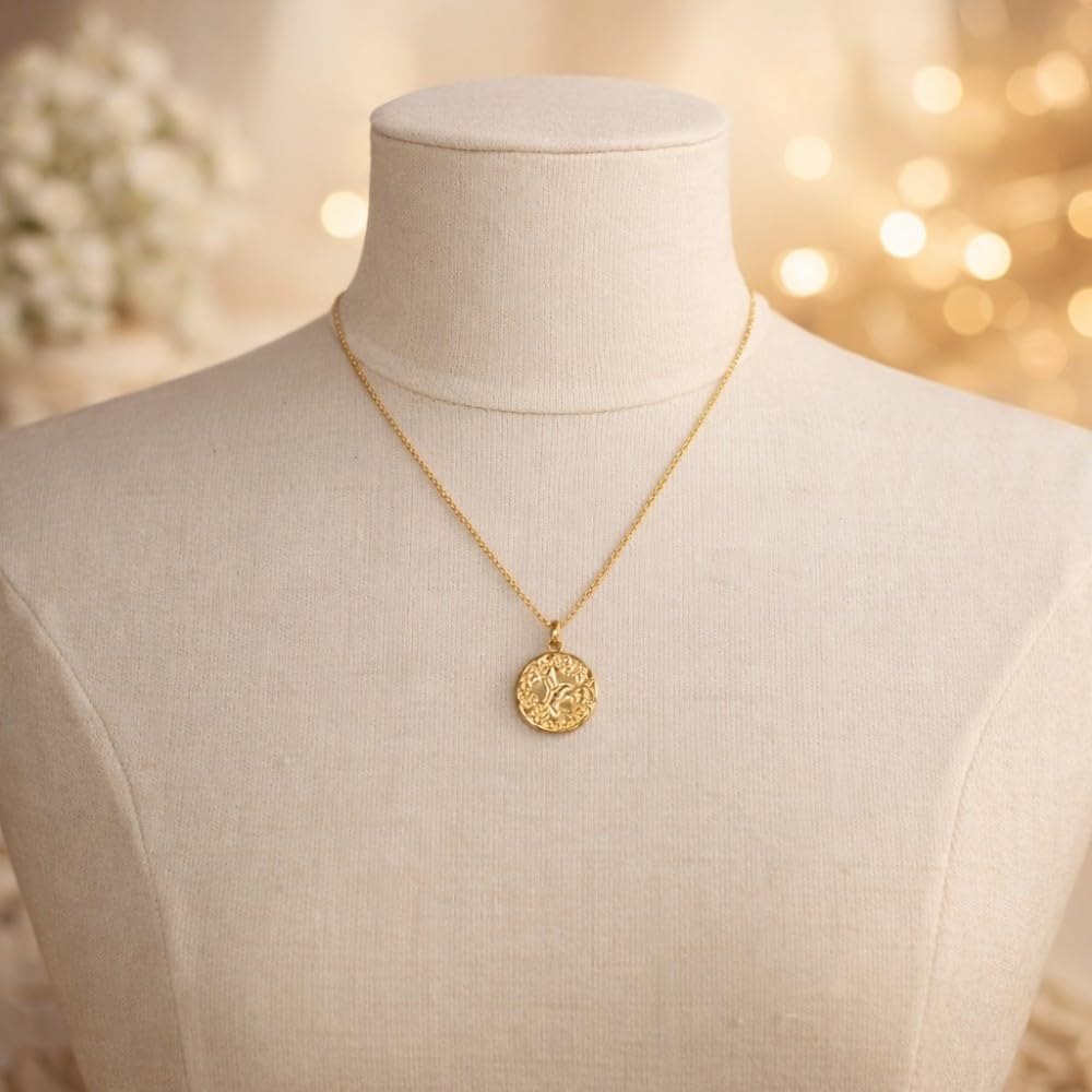 LES POULETTES BIJOUX Pendentif Plaqué Or Médaille Ronde Colibri