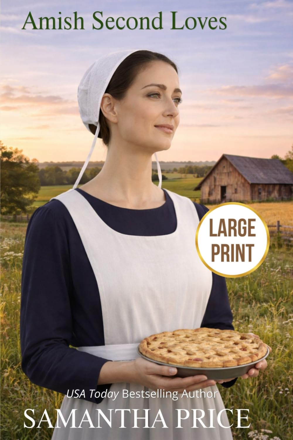 Amish Second Loves LARGE PRINT: Amish Romance (Amish Brides - Large Print Editions)