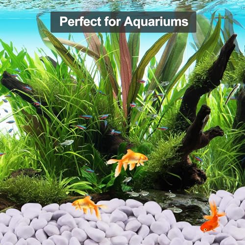 Image of 20Ib Snow White River Rock-Decorative Stones-Pebbles for Indoor Plants-Rocks for Outdoor Landscaping 1-2 inch High Polished Stones for Aquarium, Home Decor,Garden Decor