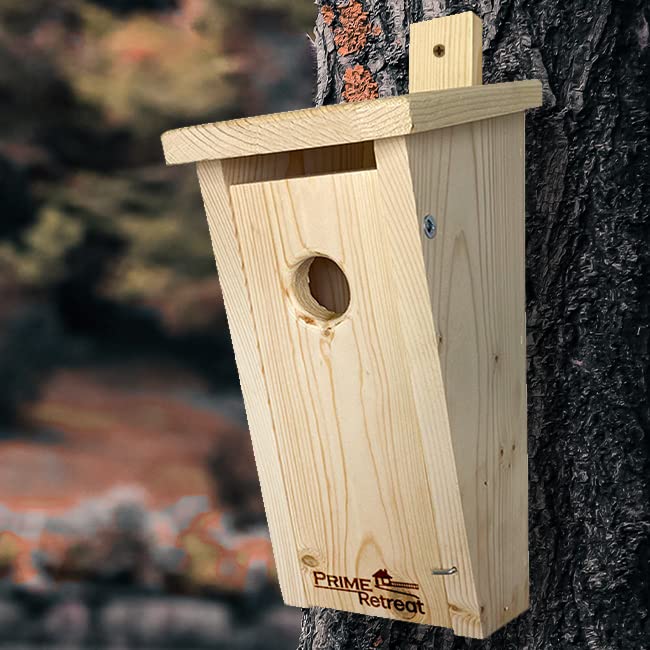 Amazon | Prime Retreat スラントフロント ブルーバードハウス