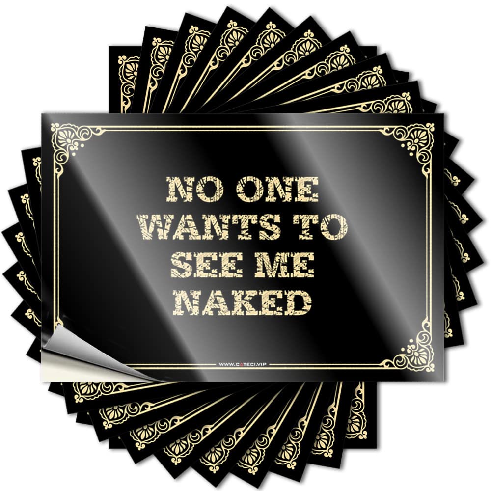 Fun Stuff Hat Stickers | No One Wants to See Me Naked Feminist for Best Decor(8X12CM)
