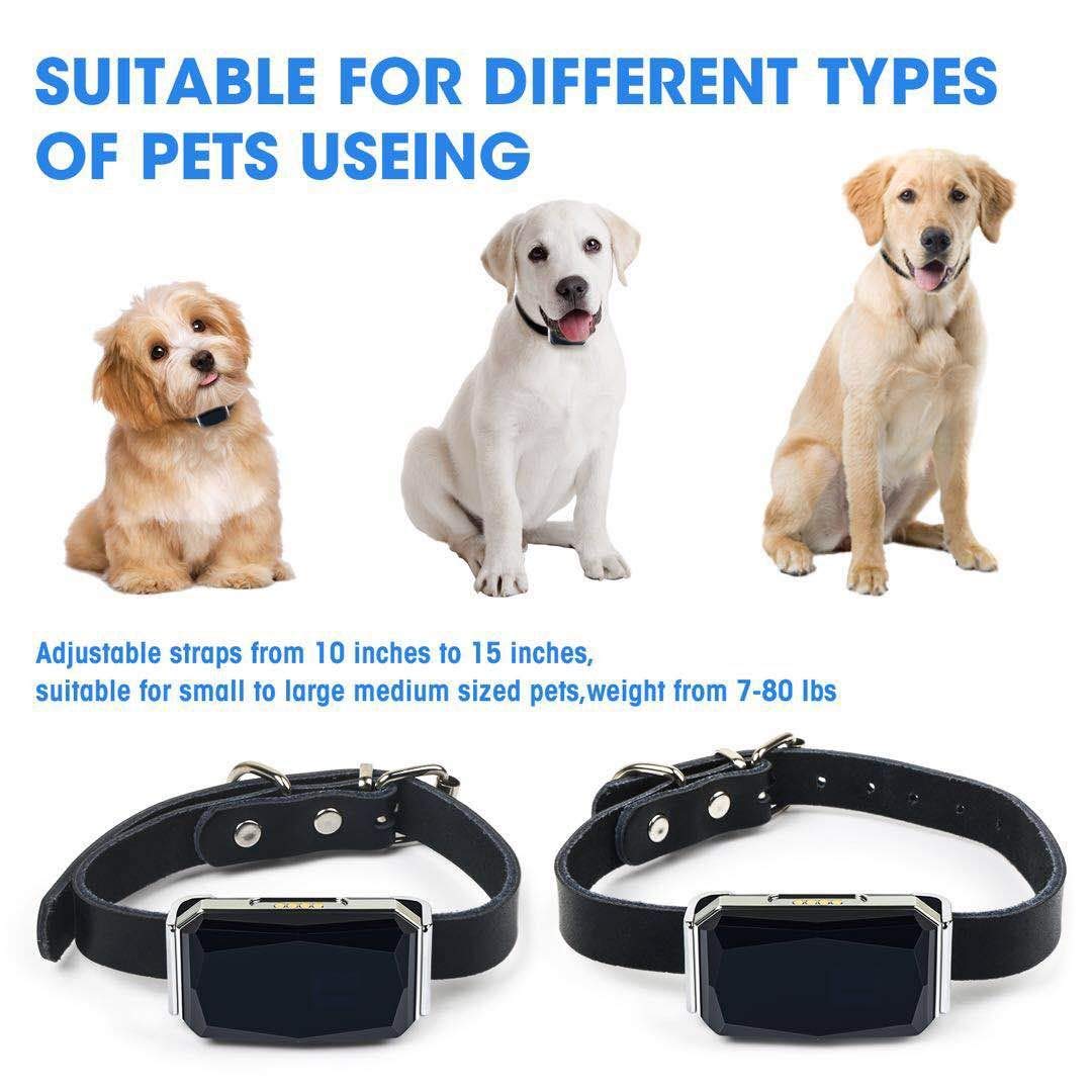 Localizador de mascotas, impermeable, antipérdida, con posicionamiento real y preciso, múltiples alarmas remotas para perros y gatos