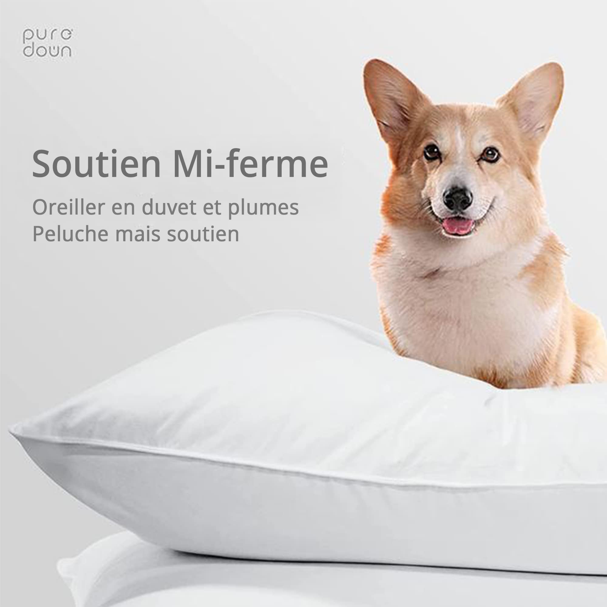 puredown® Lot de 2 oreillers en plumes et duvet d'oie avec housse 100 % coton, oreillers doux et moelleux de la collection hôtelière de luxe de taille standard, oreiller de couchage à