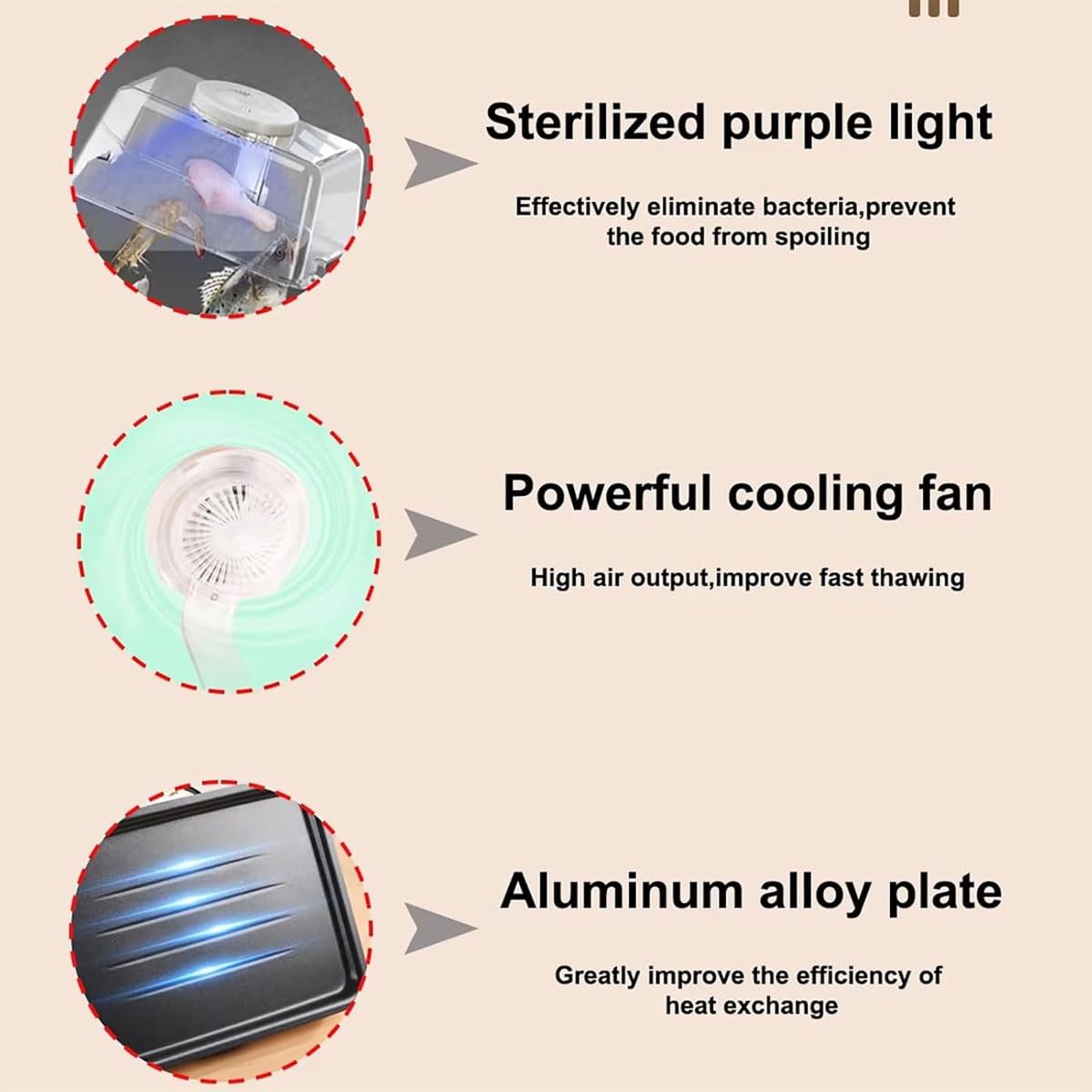 Vassoio elettrico per scongelare gli alimenti con display LCD a tempo regolabile, piastra di sbrinamento veloce in lega di alluminio per carne, bistecca, frutti di mare, pancetta, capacità 3 l