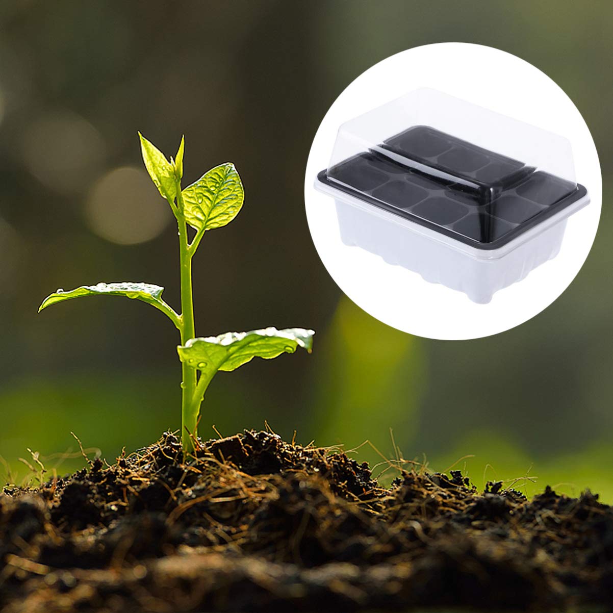 Happyyami Lot de 10 Plateaux De Culture pour Plantes D'intérieur avec Drainage pour Un Une Culture Faciles