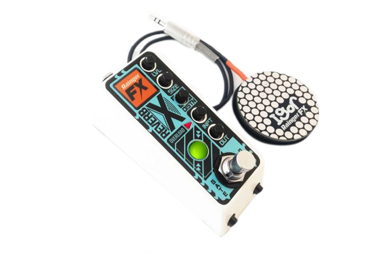 Amazon.com: Rainger FX Reverb-X Digital Reverb (with Igor