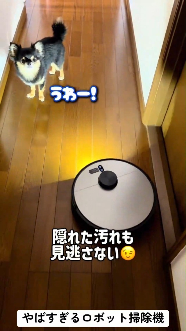 Amazon | JONR X9 PRO ロボット掃除機 コードレス 床掃除・加圧