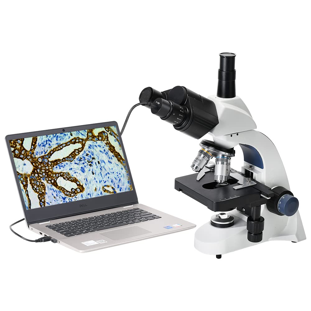 HAYEAR 5MP USB Digitale Microscopio Fotocamera USB Obiettivo Eyepeice Digitale Tpye C USB Videocamera per Sience Education Lab Reserch con Software di Calibrazione Libero