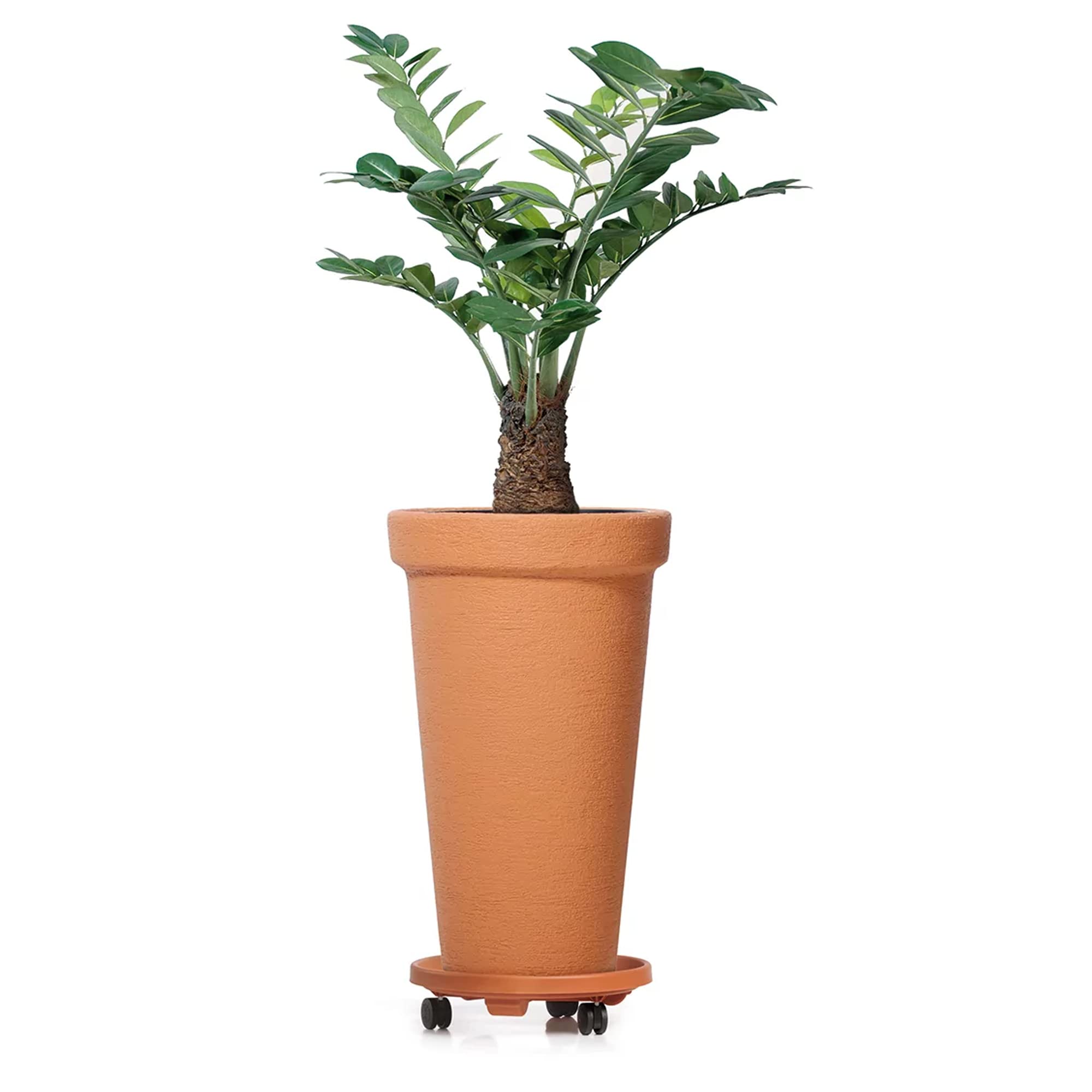 Macetero gigante de 58 litros antracita sólido óptico altura 800 mm jardinera de plástico