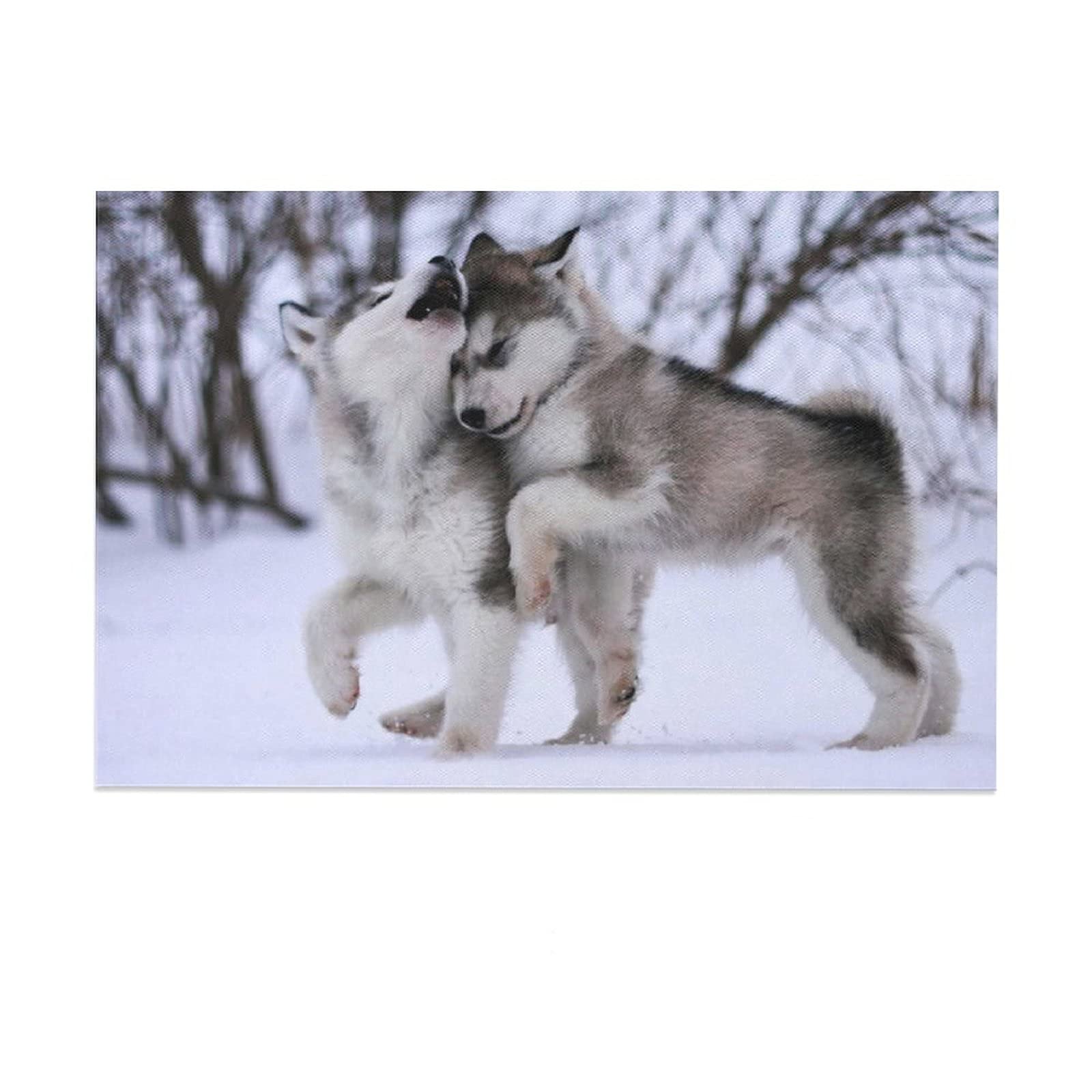 SDMFUNS Alaskan Malamute Dog Run Play Tongue Out Erect Ears Sitting (21) Canvas Poster Bedroom Decor Sports Landscape Office Room Decor Gift 12x18inch(30x45cm)