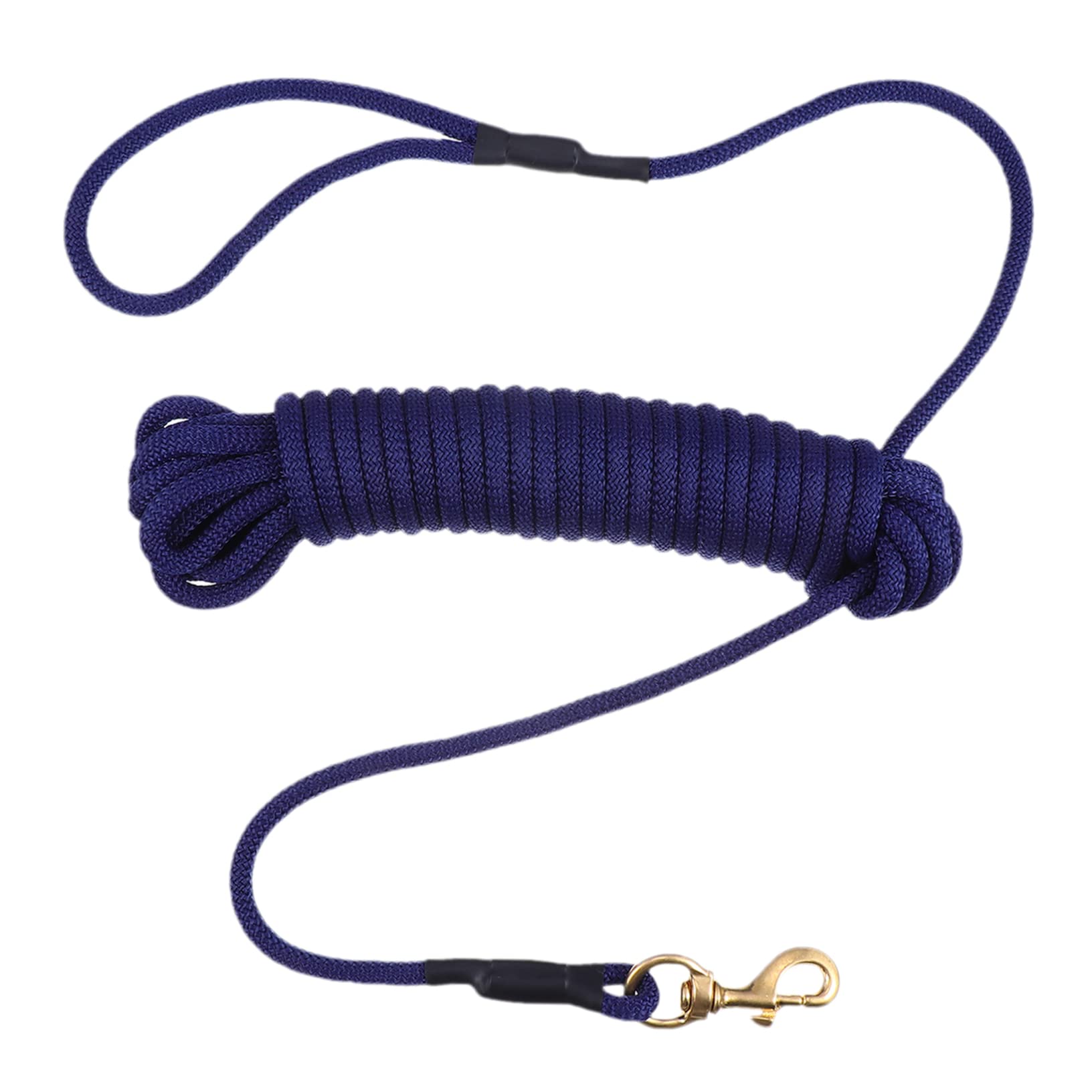 Longe pour Promenade Crochet pour Résistante aux Morsures 10m en Polypropylène, Bleue Chien Dressage