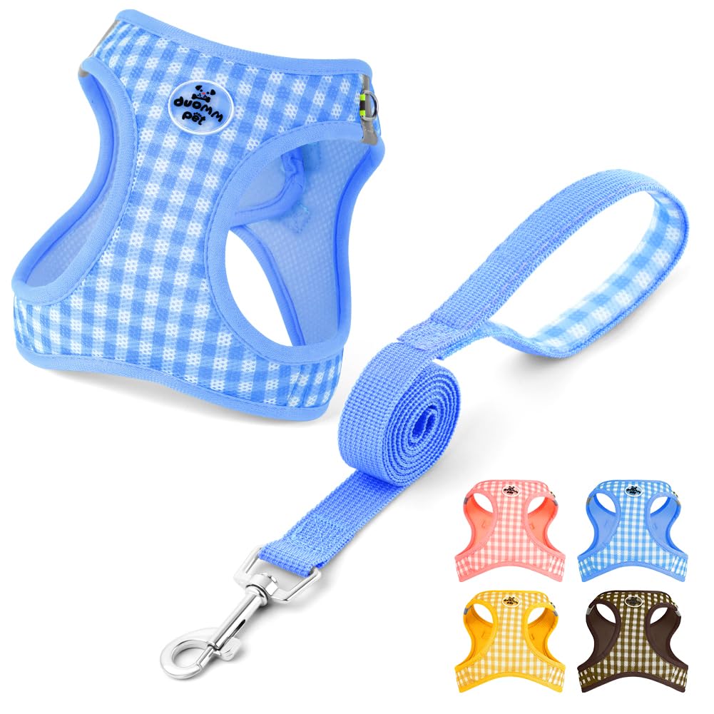 OFFCUP Arnés para Perro y Conjunto de Correa, Arnés Antitirones Reflectante Ajustable, Transpirable Malla Suave Arneses Chaleco para Perro Pequeños Gatos y Cachorros (Azul, XS)