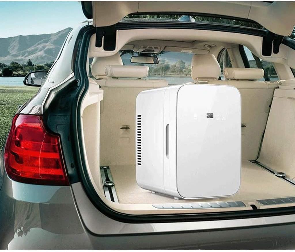 GeRRiT Car Refrigerator, 8L Car Refrigerator, Heater and Cooler 2 Modes, Car Cooler Double Voltage 12V DC 220V AC