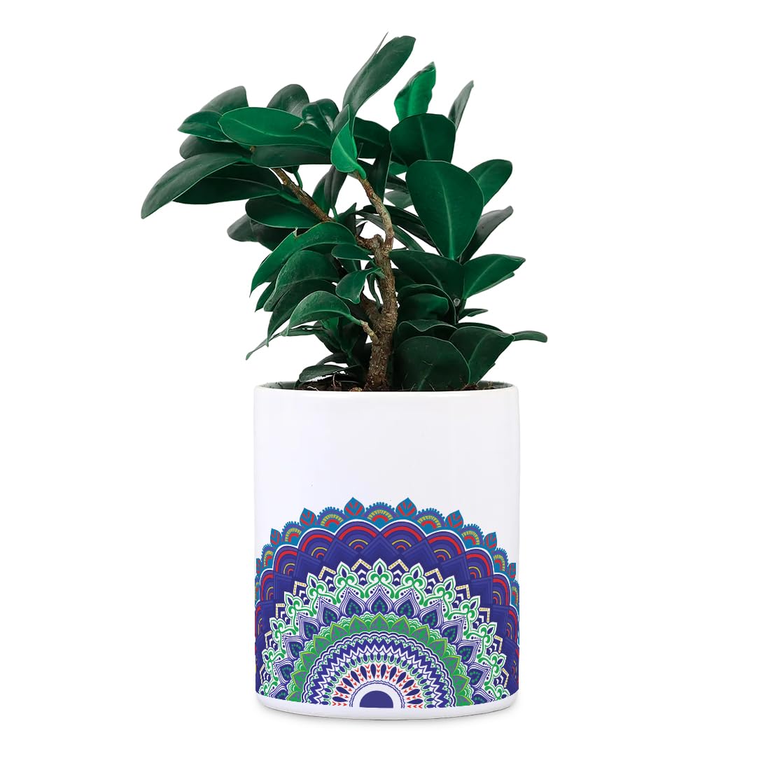 Gathari Desk Planter Ceramic Pot (Plants Not Included) for Home & Indoor Decor (Size: 8.5 cm Diameter), Can be Used on Desk, Table, Shelf, Balcony, Indoor or Outdoor (Mandala) (B0CVS4X9HS) Amazon Price History, Amazon Price Tracker