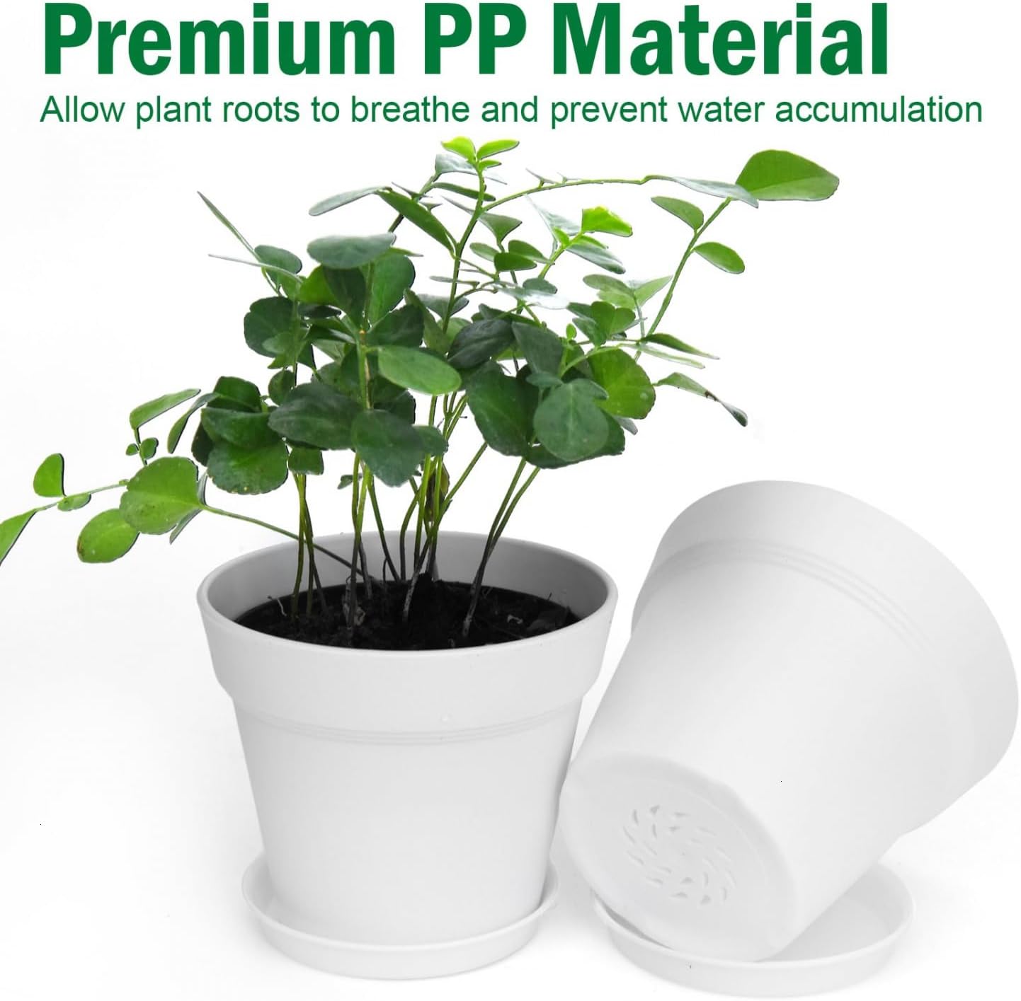 June Fox 60 Pack Small Plant Pots Indoor 4 Inch Plastic Planter with Drainage Holes and Saucers Premium Decorative White Plant Pot for Succulent, African Violets, Flowers, Plants