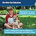 PetSafe Elite Little Dog Spray Bark Collar for Small Dogs from 8 lbs to 55 lbs - Smallest Collar Option - Citronella Spray - No Barking Control Device - PBC00-11283