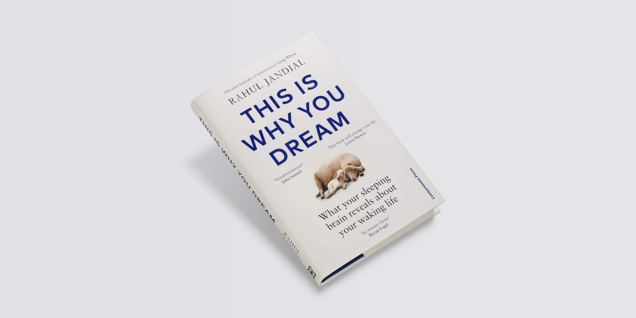 This Is Why You Dream: What your sleeping brain reveals about your waking life