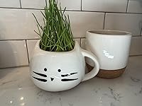 Review Image by JOHN MULLICAN JOHN MULLICAN